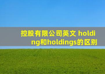 控股有限公司英文 holding和holdings的区别